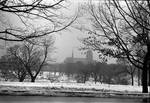 Cathedral Basilica of the Sacred Heart seen through wintery Branch Brook Park