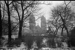 Towers of the Cathedral Basilica of the Sacred Heart through wintery Branch Brook Park
