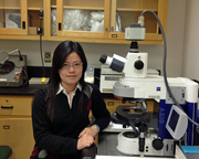 Visit Tin-Chun Chu, Ph.D.
