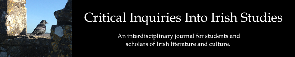 Critical Inquiries Into Irish Studies