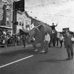 Columbus Day Parade Elephants by Ace (Armando) Alagna, 1925-2000