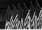 Flags at the 1968 Democratic National Convention; 1968 by Ace (Armando) Alagna, 1925-2000
