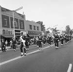 Marching in the 1968 Belleville Columbus Day Parade by Ace (Armando) Alagna, 1925-2000