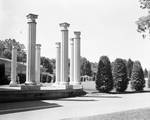 Columns in Pocono Gardens by Ace (Armando) Alagna, 1925-2000