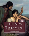 The New Testament: A Contemporary Introduction thumbnail