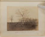 Gate-field and Crookson woods; A. Booth under the oak