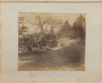 Old apple tree and rocks on the Croquet ground; Wm Seton of Cragdon and Parbrooth Esq.; Isabel Seton with "Trot"