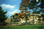 Destruction of McLaughlin Library