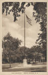 Black and white; American Flag and trees